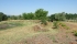 DSCF4846 (FILEminimizer).JPG